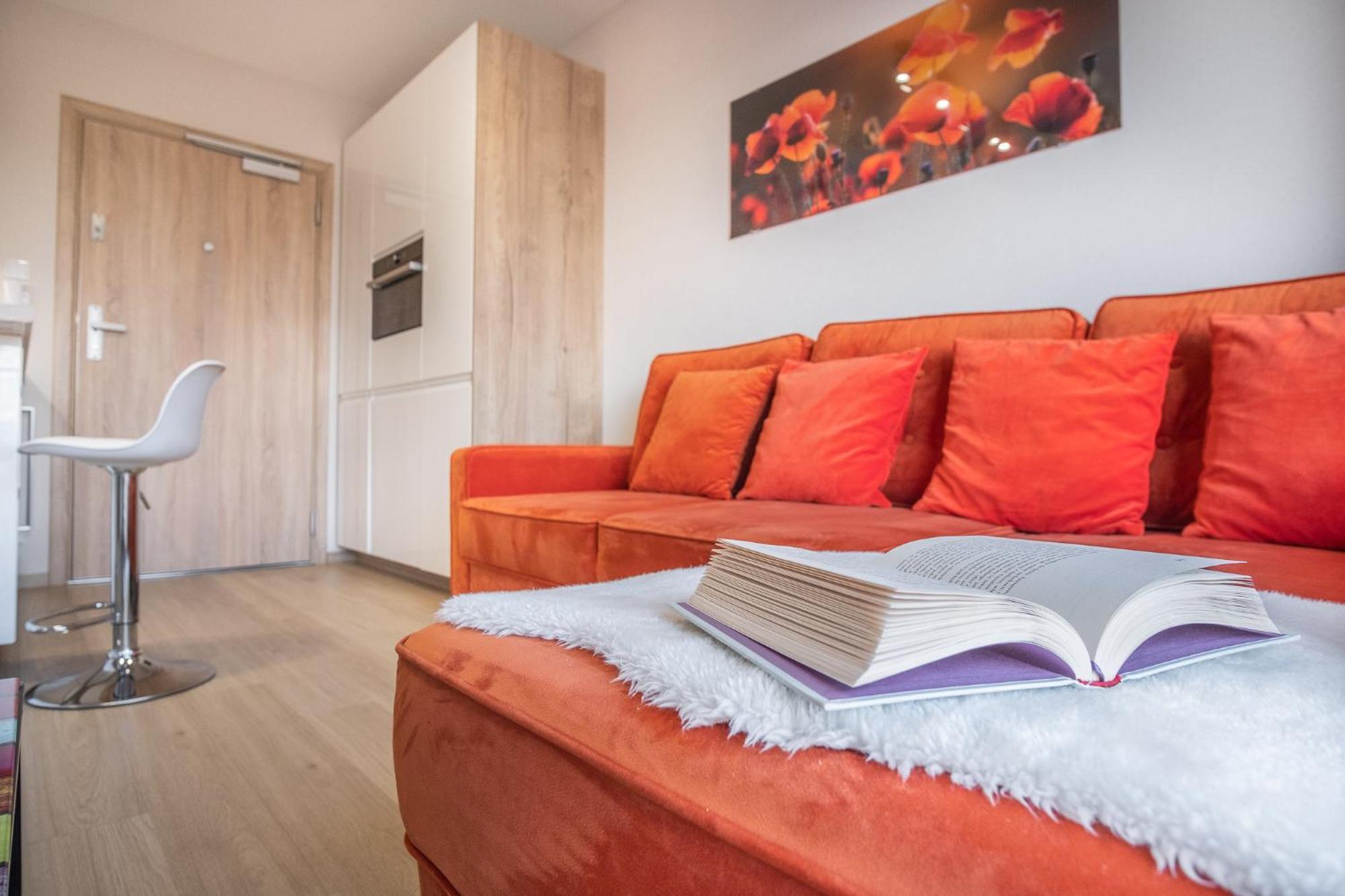 Iron Apartments Krasków Εξωτερικό φωτογραφία